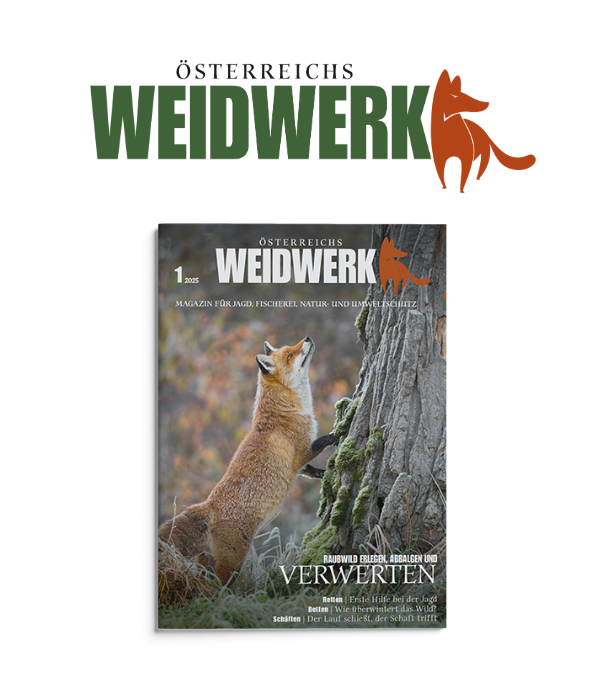 Cover Weidwerk Magazin
